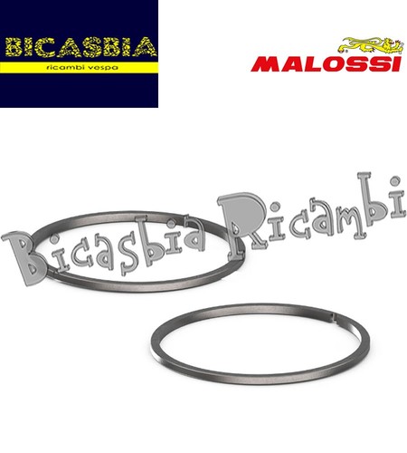21290 segmenti fasce malossi - fasce,