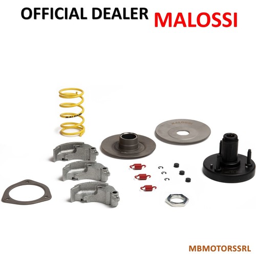 Kit puleggia frizione malossi - puleggia,