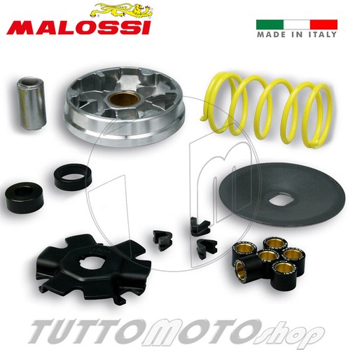 Variatore malossi multivar - malossi,